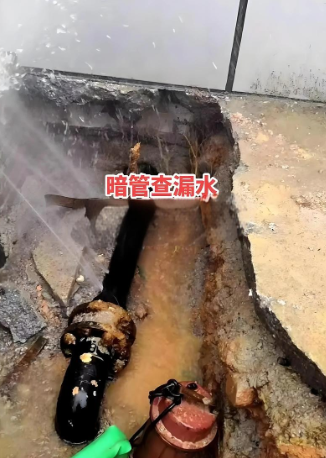 微信二维码或联系信息图片